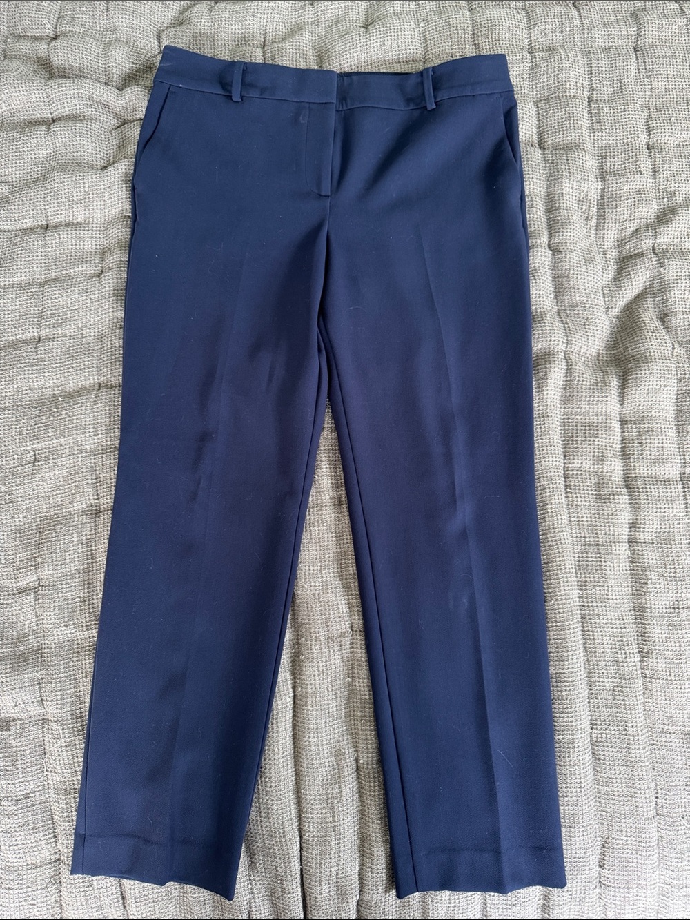Ann Taylor Factory Navy Ankle Dress Pants